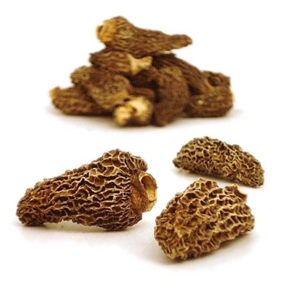 Earthy Delights Wild Morels Mushrooms