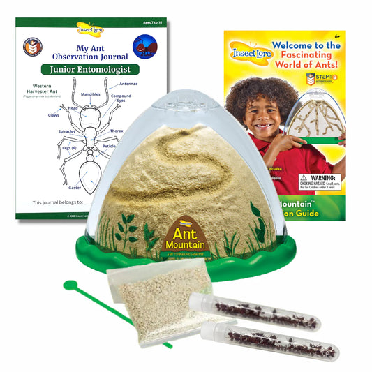 Insect Lore Ant Mountain
