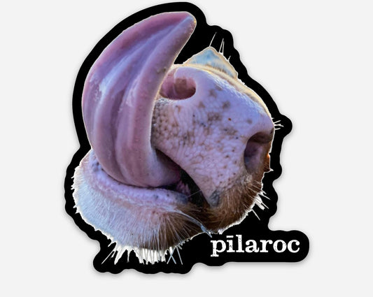 Pilaroc Miss Tori Sticker