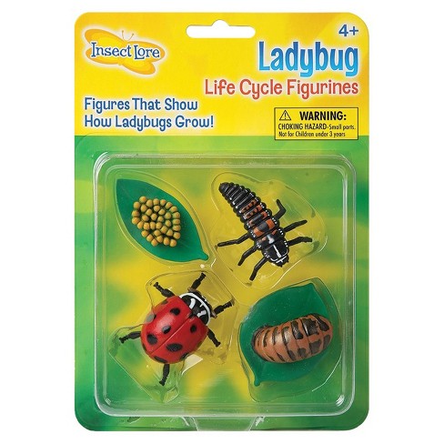 Insect Lore Ladybug Life Cycle Figurines