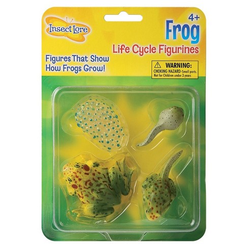 Insect Lore Frog Life Cycle Figurines